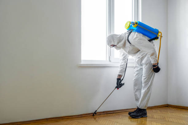 Best Bed Bug Extermination  in Montalvin Manor, CA